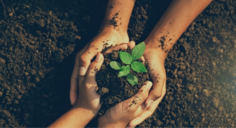 ambiental lwsa